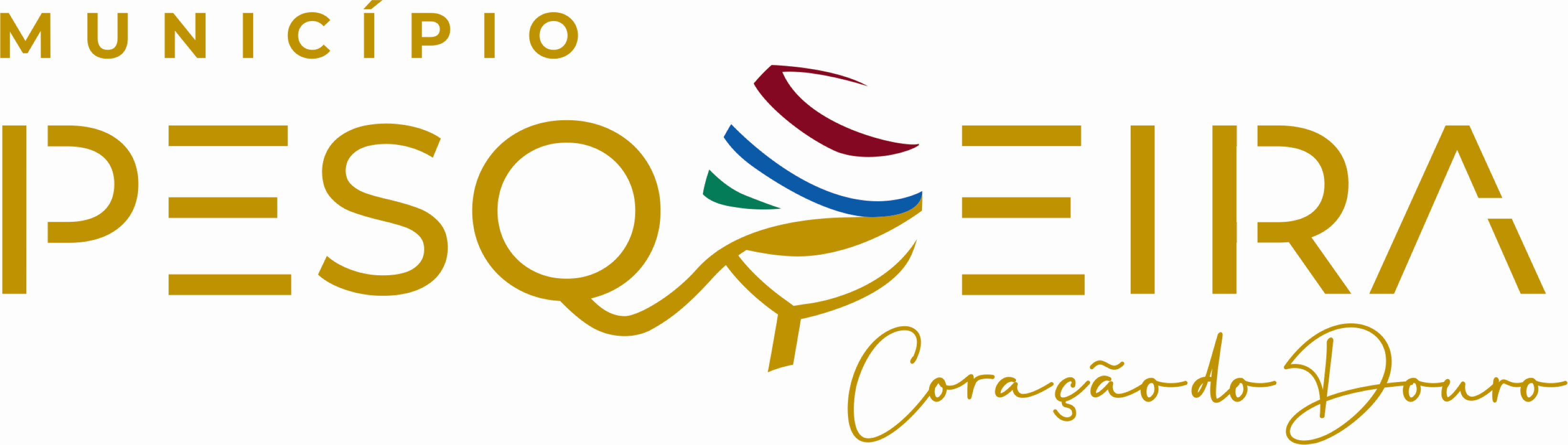 Camara Municipal de São João da Pesqueira